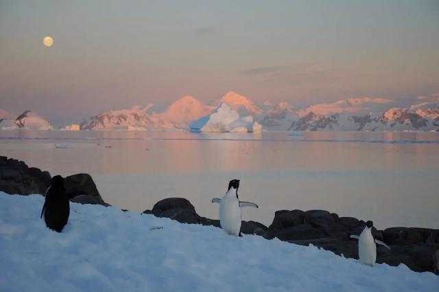 来自南极洲的警钟：科学家警告极端气候事件不断升级